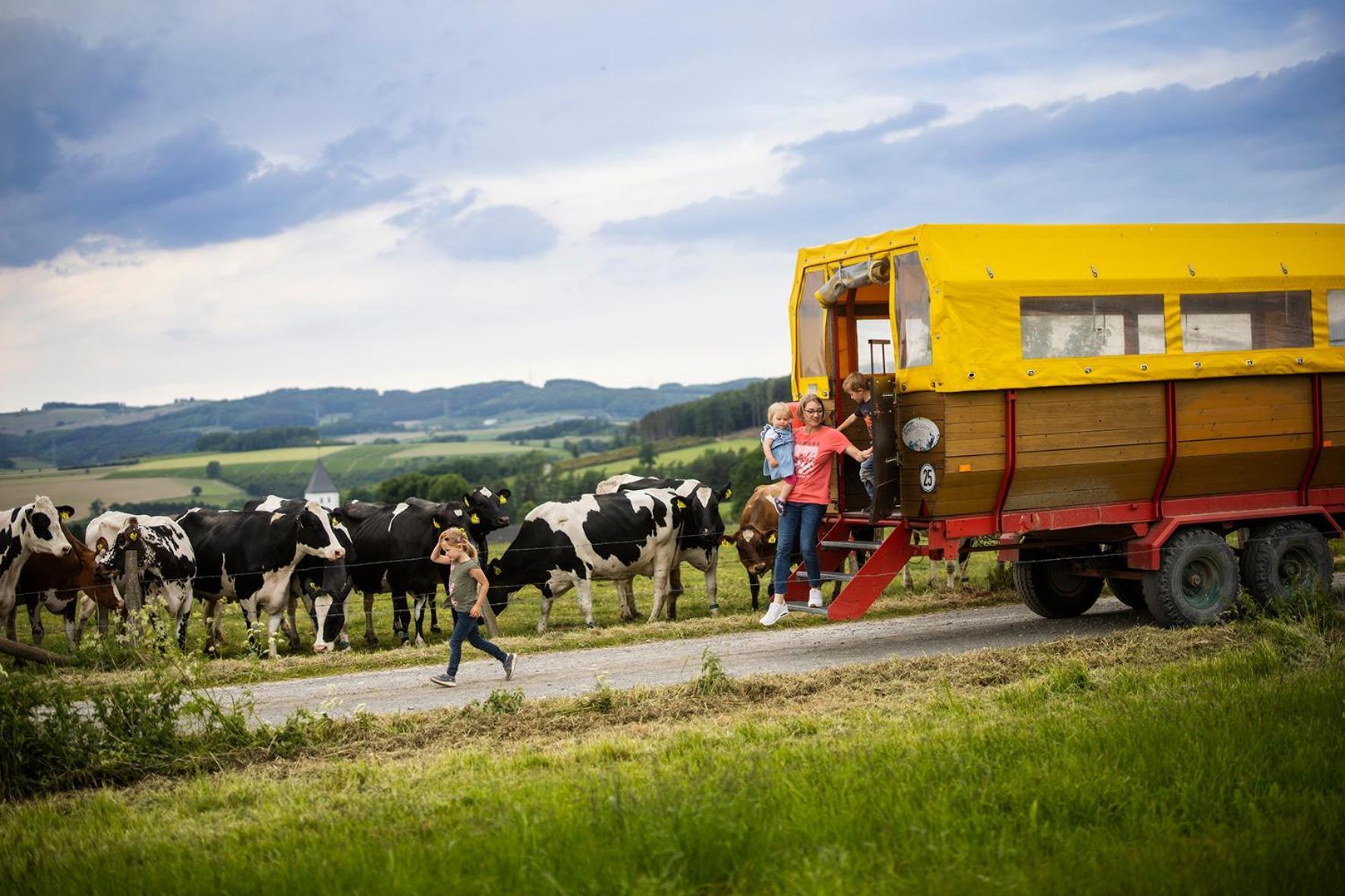 シュマレンベルク Hof Koehne - Haus An Der Weide Rechtsヴィラ エクステリア 写真